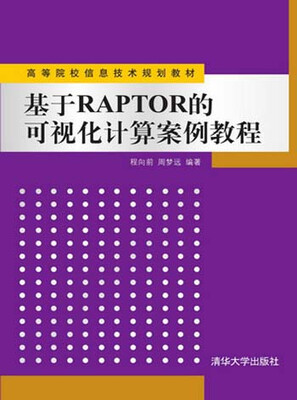 

基于RAPTOR的可视化计算案例教程/高等院校信息技术规划教材