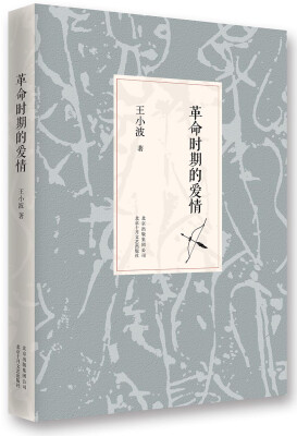 

王小波：革命时期的爱情（2014版）