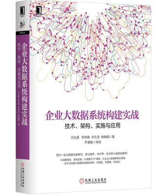 

企业大数据系统构建实战：技术、架构、实施与应用