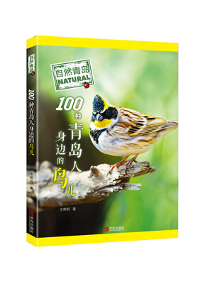 

自然青岛：100种青岛人身边的鸟儿