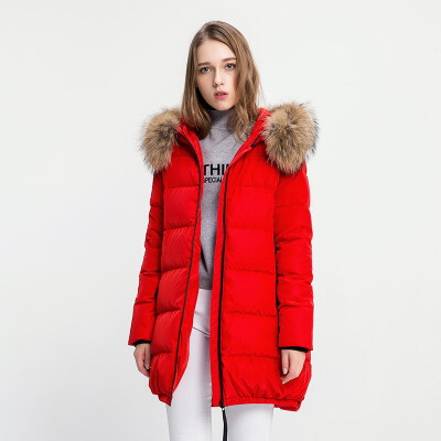 

Snow in the winter models down jacket female thick in the long raccoon fur collar warm jacket A1621YY172 big red 1218