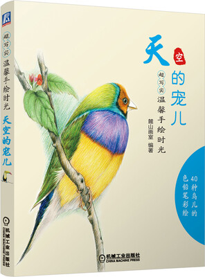 

超写实·温馨手绘时光天空的宠儿