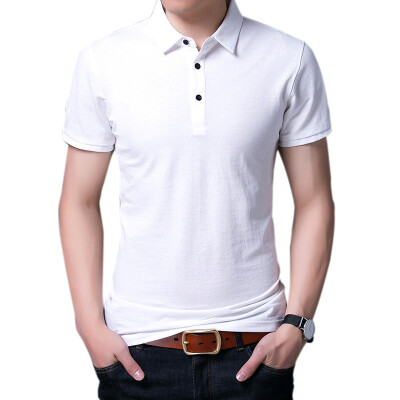 

Apple (AEMAPE) middle-aged men's clothing lapel simple business casual T-shirt B1 card its 2XL