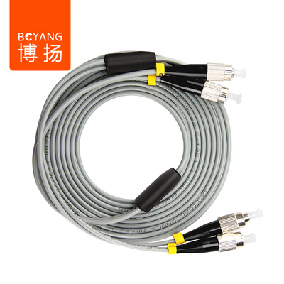 

Bo Yang (BOYANG) BY-K5332MM carrier-grade armored fiber jumpers 5 meters FC-FC (multi-mode dual-core)