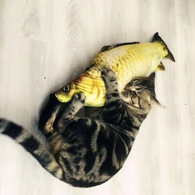 

Simulation Fish Toy Cat Chew Toys Cat Teaser Fish Cushions Catnip Cat Supplies
