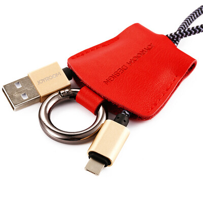 

Machine Music Church Apple Andrews Combo Data Line Micro + Lightning Forward and Reverse Insert Data Cable Key Chain Creative Port