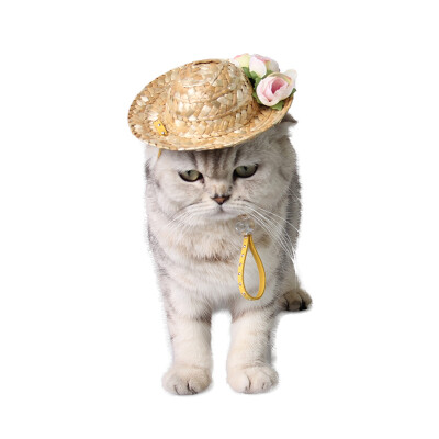 

Giza Aberdeen hat hat pastoral grass hat cat jewelry do not stand off the straw hat out of the shade teddy gold dog dog three flowers