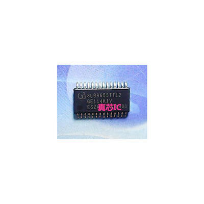 

SLB9655TT12
