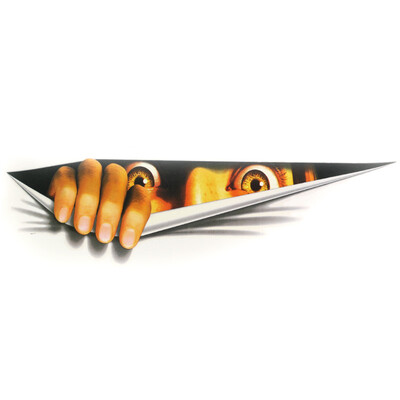 

LMA Loma car 3D stickers decorative creative sticker car body scratches block individual car body decals