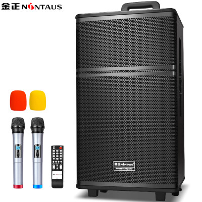 

Jinzheng NINTAUS N12-1 12 inch square dance audio outdoor bar speaker with wireless microphone portable high power loudspeaker black