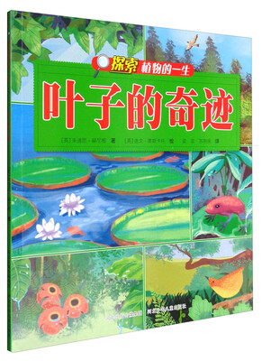 

探索植物的一生：叶子的奇迹