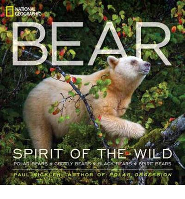 

Bear