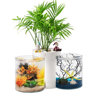 

Ogata Natural Fish Tank Fish Fish Tank Small Tank Mini Tank Small Aquarium Glass Aquarium Desktop Aquarium Aquarium BG75 Single Cylinder White