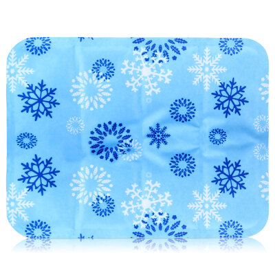 

Ai warm fresh cool ice pad cushion cushion ice pillow 30 * 40cm