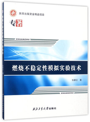 

燃烧不稳定性模拟实验技术