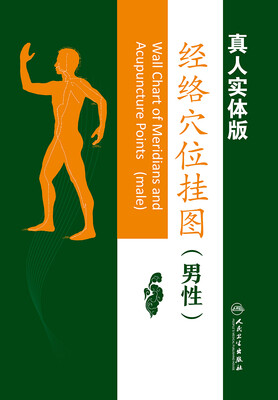 

真人实体经络穴位挂图（男性版）