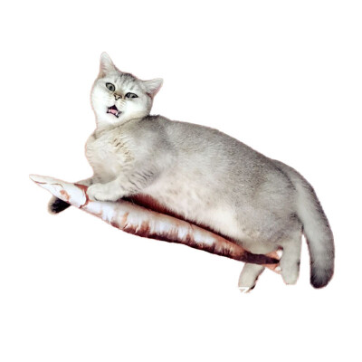 

Моделирование рыбной игрушки Cat Chew Toys Cat Teaser Fish Cushions Catnip Cat Supplies