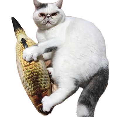 

Simulation Fish Toy Cat Chew Toys Cat Teaser Fish Cushions Catnip Cat Supplies