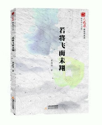 

火凤凰新批评文丛若将飞而未翔