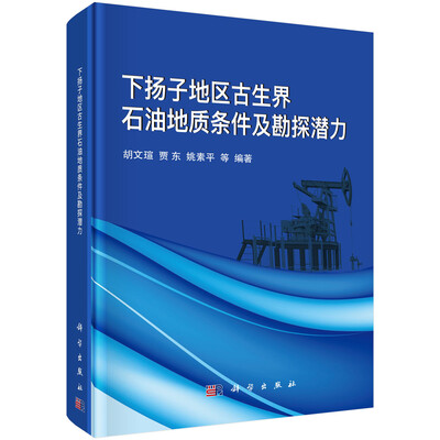 

下扬子地区古生界石油地质条件及勘探潜力