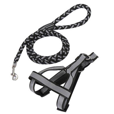 

Junxiao dog chain dog rope small dog middle dog traction rope walk dog rope dog dog traction belt walk dog traction rope reflective traction rope black L number