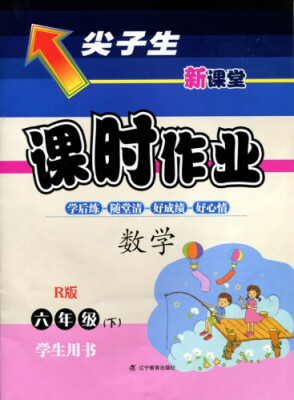 

2018春尖子生课时作业 六年级数学下R版