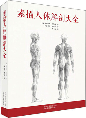 

素描人体解剖大全