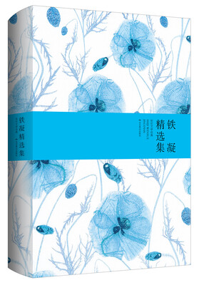 

铁凝精选集