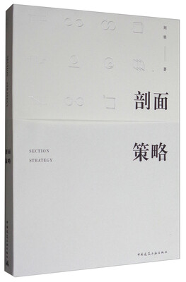

剖面策略