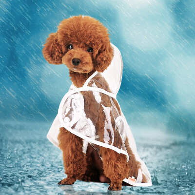 

Warrior hoopet teddy bear puppy transparent four-legged raincoat small dog waterproof clothing dog clothes beautiful transparent waterproof raincoat XL-bust 46-50cm