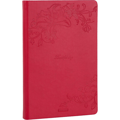 

GuangBo 128 A5 leather note notebook stationery notebook diary red FB60316