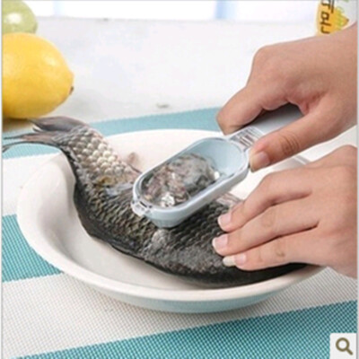 

Home Living Kitchen Dinning Scratch Fish ScalesTool B81