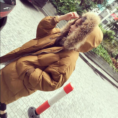 

2017 fashion new ladies down jacket women big fur collar long paragraph thick cotton coat