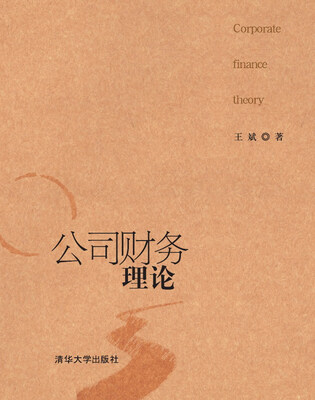 

公司财务理论