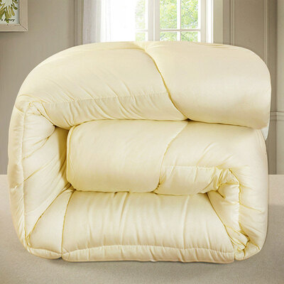 

Ying Xin was home textile core quilt winter padded warm feather velvet winter was covered mattress blue&white porcelain 200 230cm-55 kg