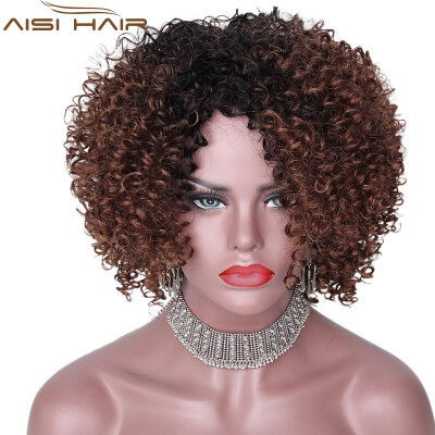 

AISI HAIR 14Inches Long Afro Kinky Curly Wig for Black Women Dark Brown Synthetic Wigs African Hairstyle