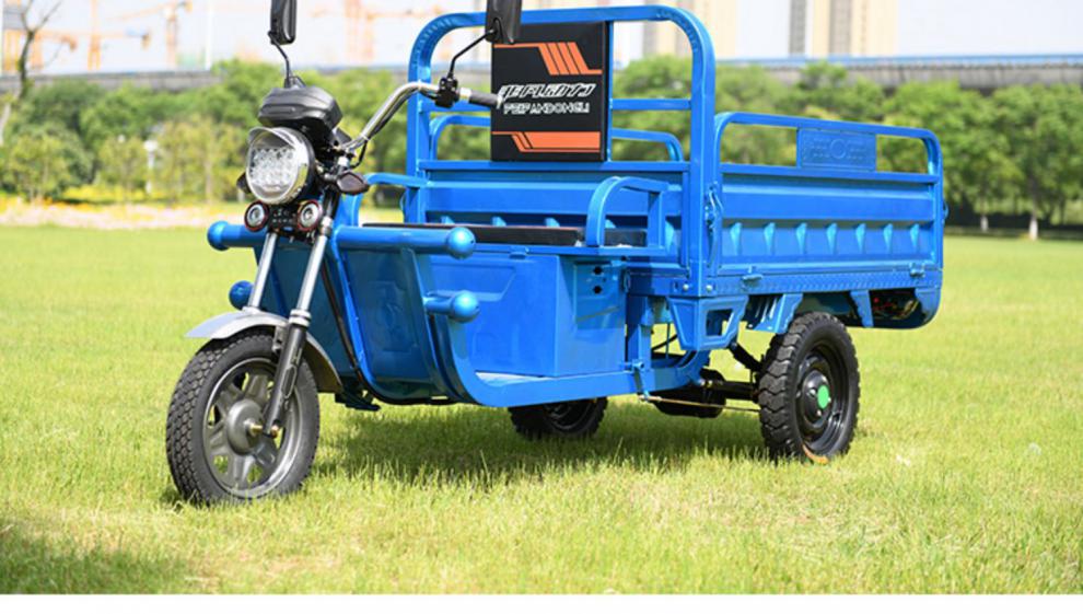 电动三轮车拉货成人家用快递载货农用摆摊载重王新款电瓶车代步车1000