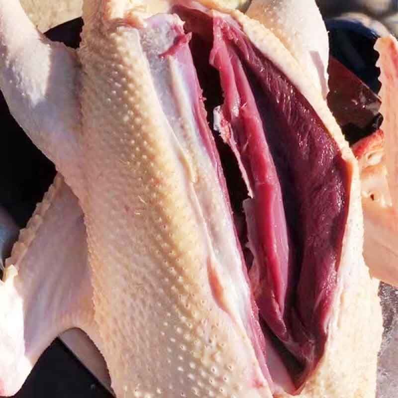 罕见10斤以上超大白鹅新鲜鹅肉仔鹅肉土鹅冷冻整只 鲜切鹅块【图片