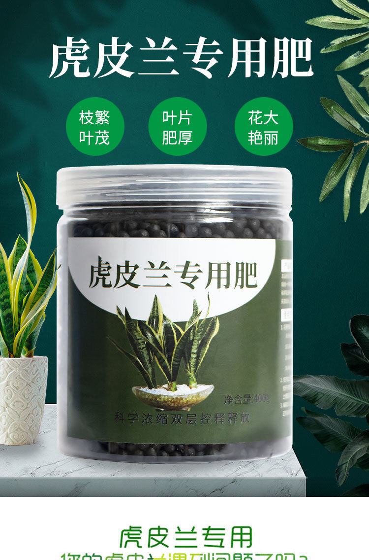 开花生根缓释颗粒肥花卉植物营养液肥料 虎皮兰专用肥1单个量勺【图片