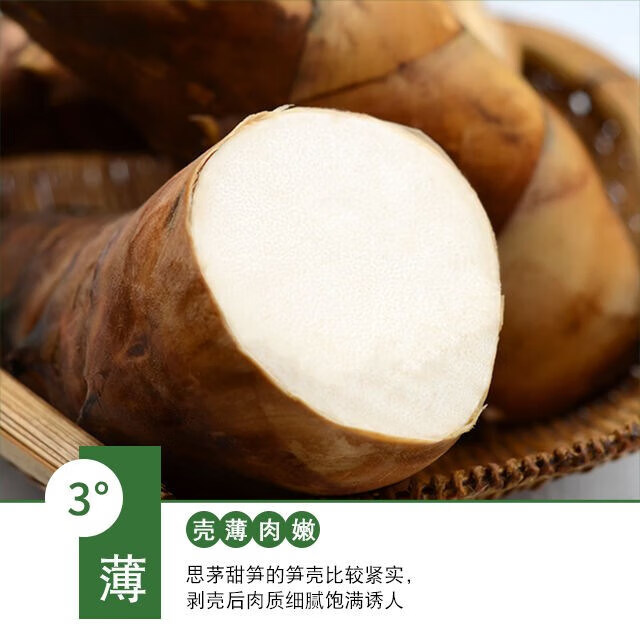 云南野菜甜笋新鲜马蹄笋春夏冬小青绿麻毛大头竹笋现挖水果笋 3500g