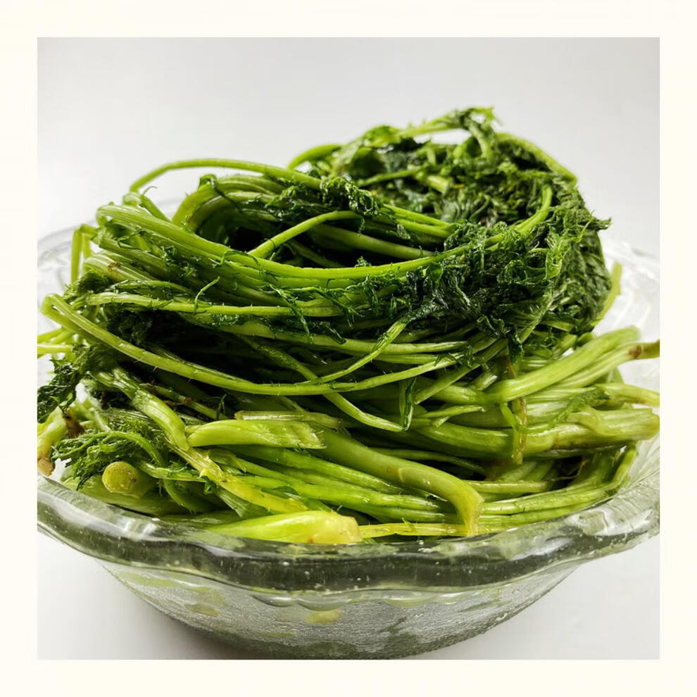 赤峰芥菜英子东北芥菜樱子咸菜 缨子咸菜雪里红菜农家腌制 芥菜樱子2