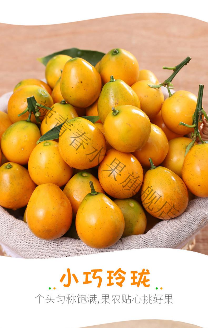 脆皮小金桔水果新鲜广西桔子9斤当季融安滑皮金桔橘子整箱3斤大果