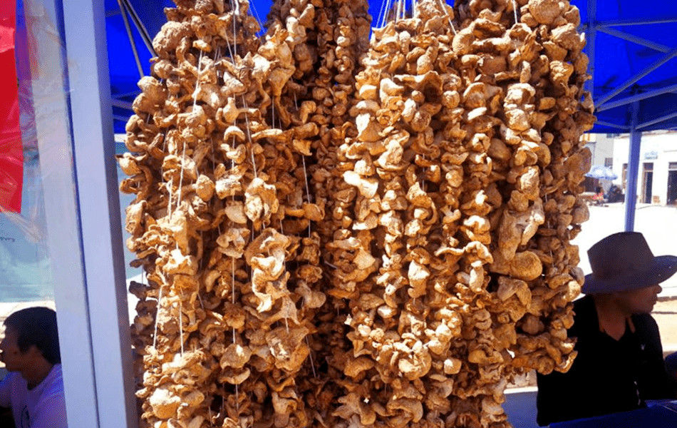 新疆那拉提巴音布鲁克景区钉子干蘑菇干丁子蘑菇菌干牧民 草原景区干