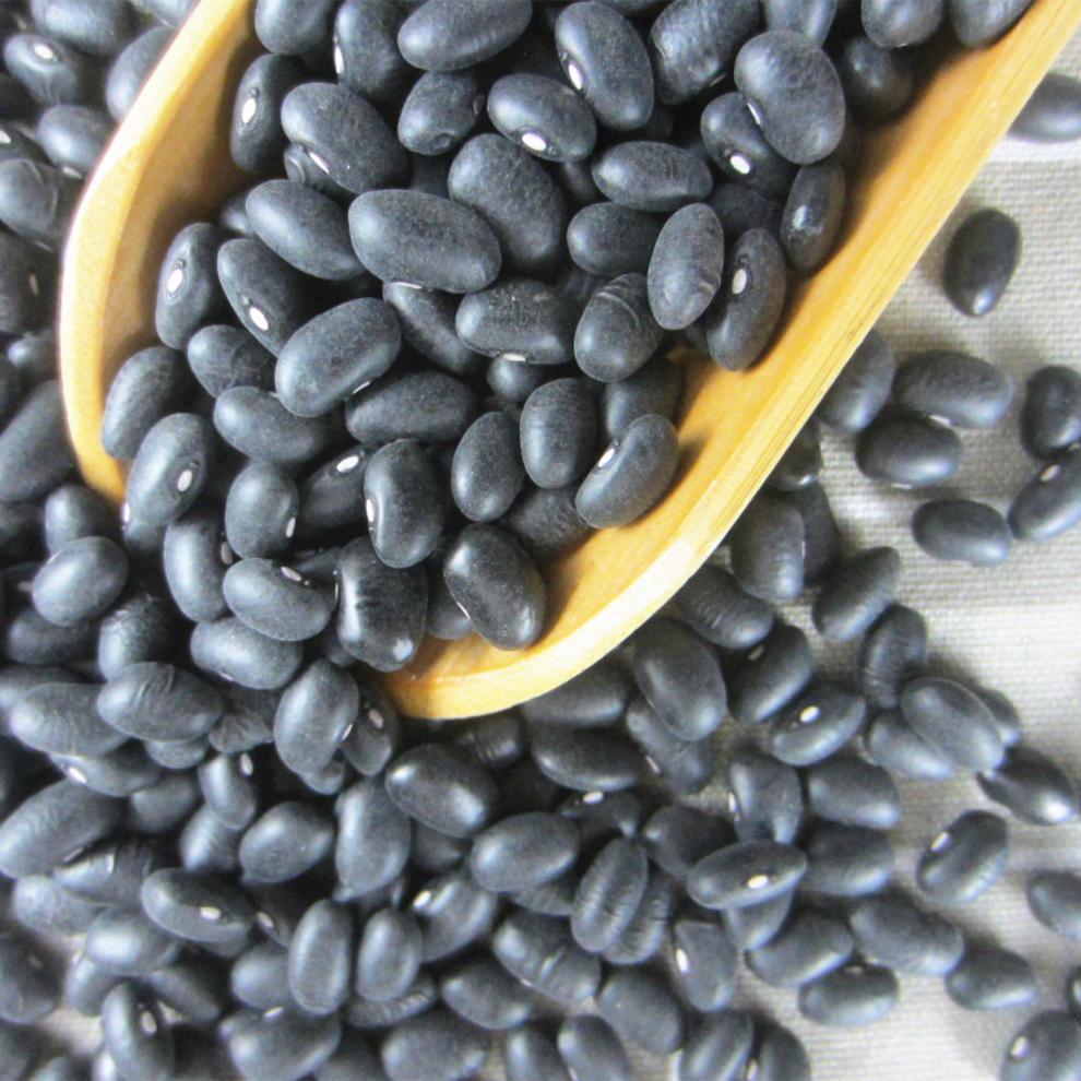 东北黑龙江5斤农家白心小黑豆新菜饭黑豆肾形腰豆黑眉豆小芸豆