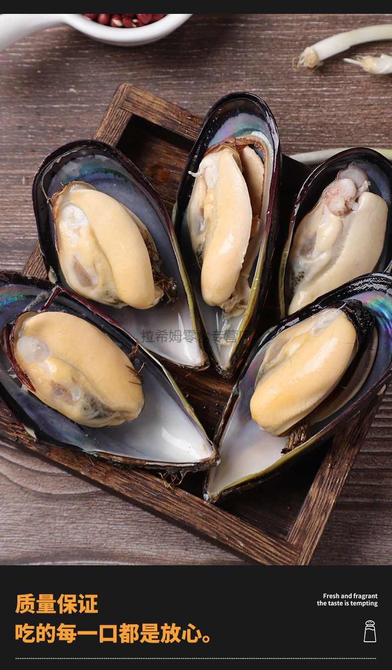 晨臻鲜活海虹大号青口贝现捕贻贝淡菜新鲜紫口贝类水产批发当天现捕
