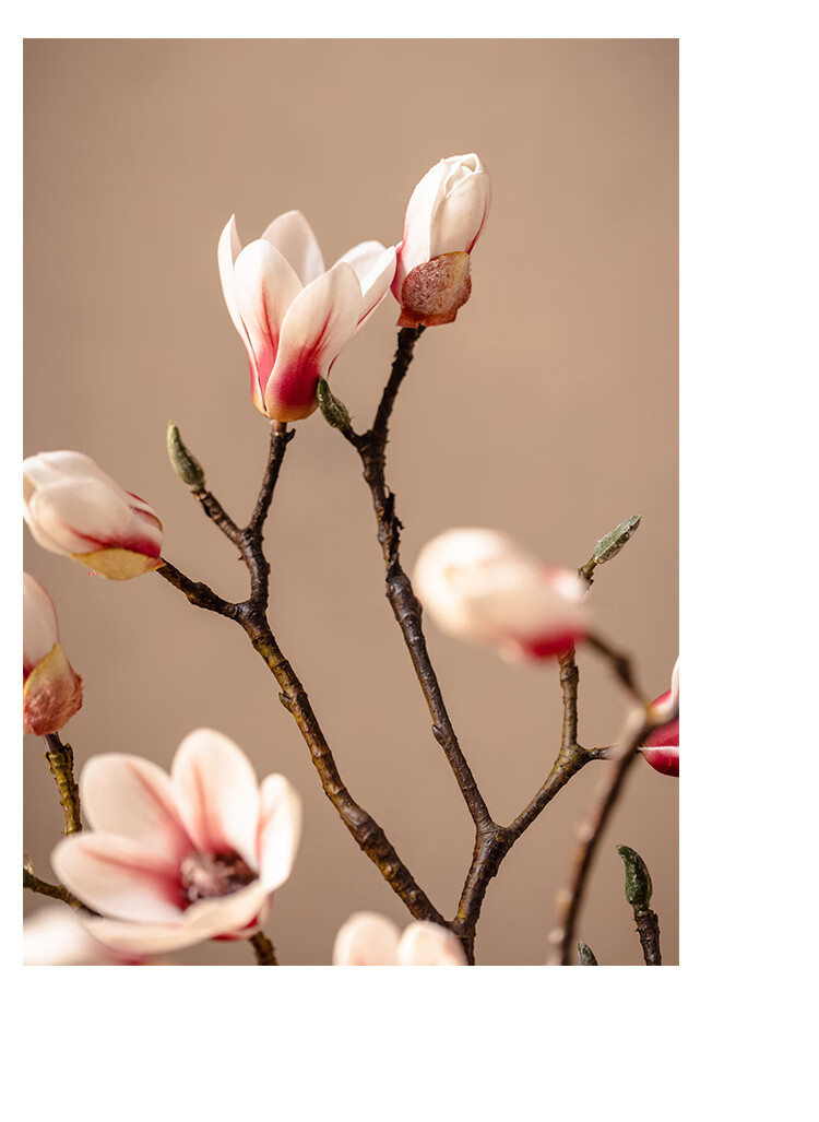 掬涵仿真玉兰花高端假花插花客厅餐桌花摆花会所装饰花艺摆件古典65cm