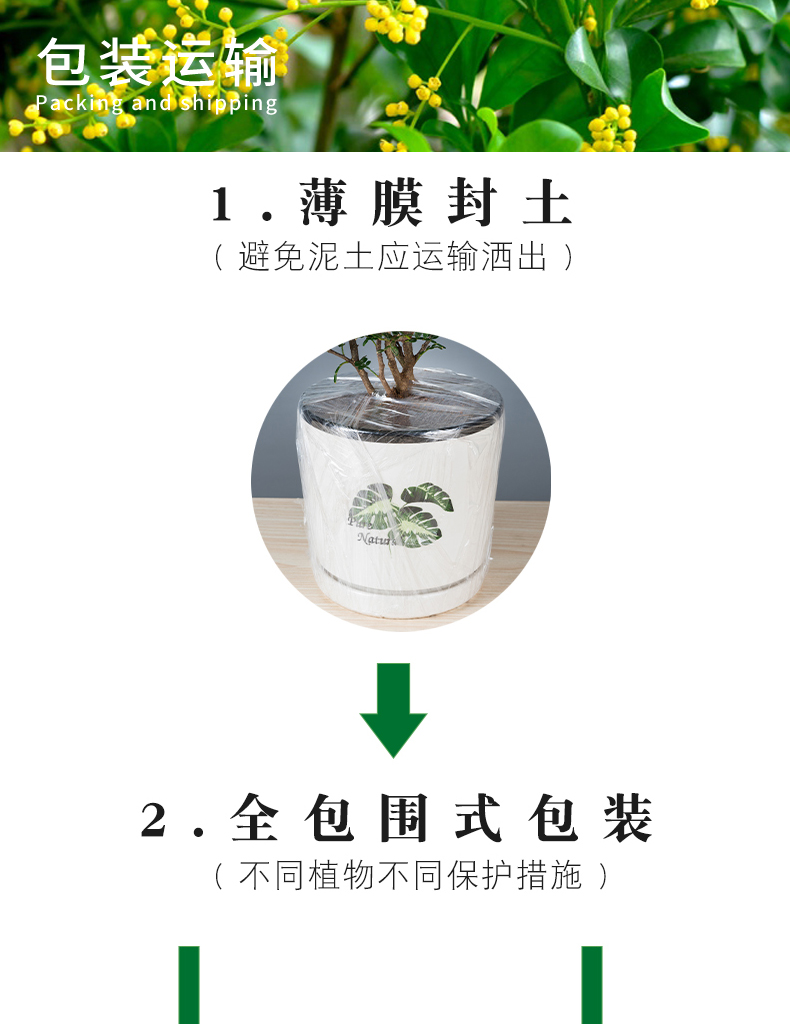 a9cf504b6c2e3194.jpg