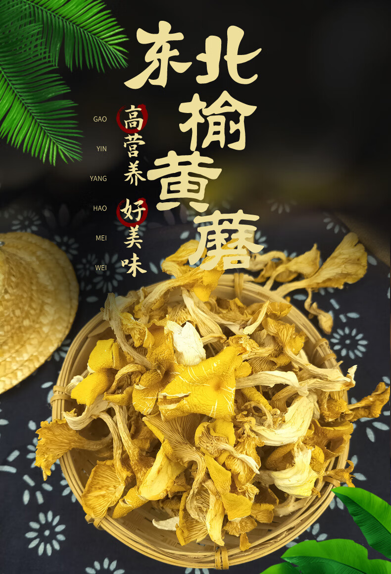 东北特产榆黄蘑干货 200g 鸡油菌黄金菇 黄丝菌金顶侧耳金顶玉皇蘑