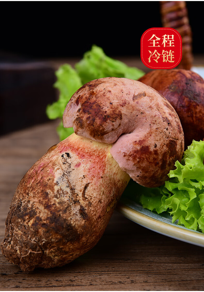 见手青新鲜红葱牛肝菌云南野生菌蘑菇红网牛肝菌白葱红葱菌子 精品青