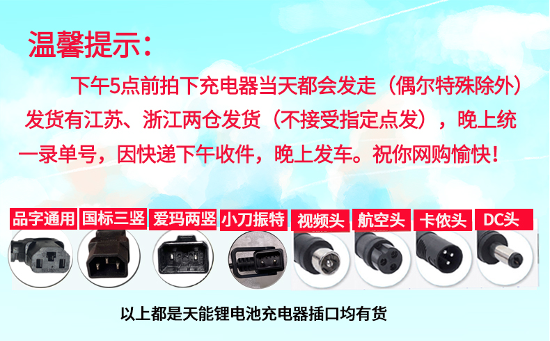 定製愛瑪電動車充電器60v原裝天能鋰電池充電器48v2a卡儂頭愛瑪60v72